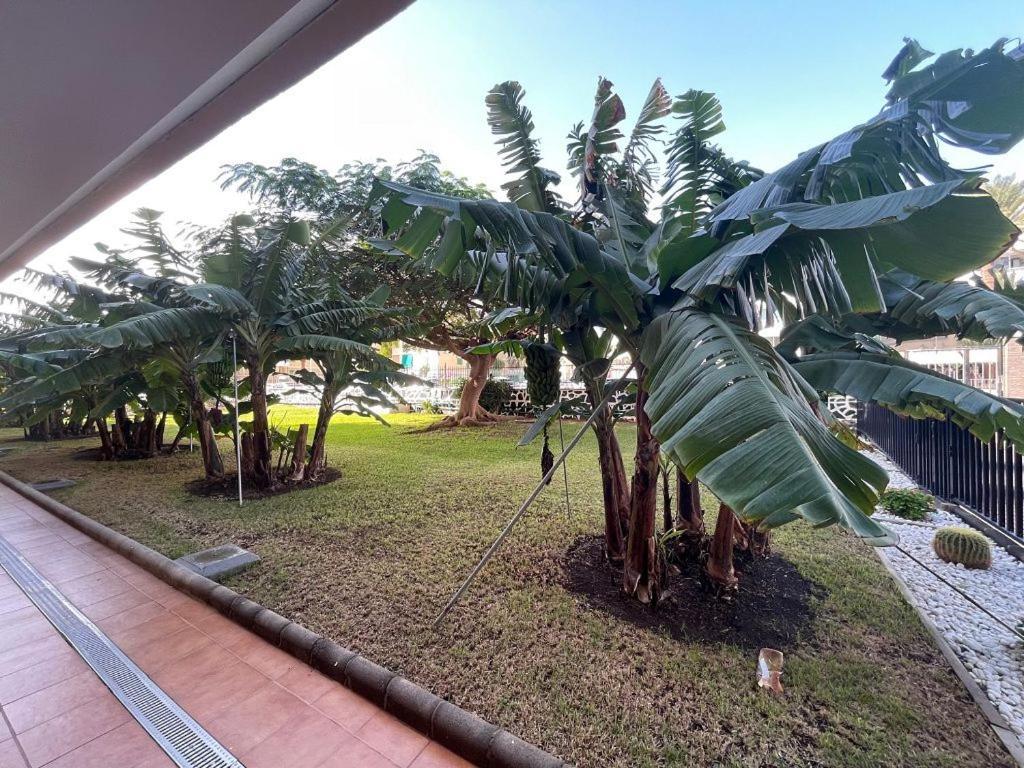 Seaview Apartment Los Cactus Playa del Inglés Esterno foto